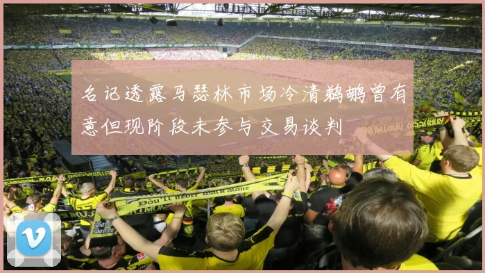 名记透露马瑟林市场冷清鹈鹕曾有意但现阶段未参与交易谈判